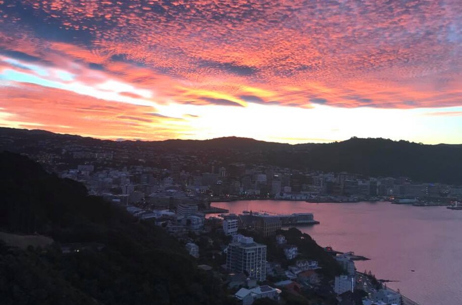 Wellington