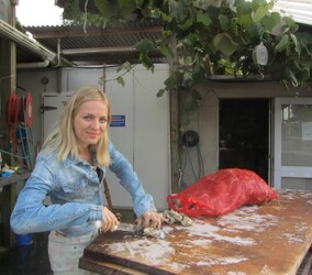 Katarina Shucking Oysters