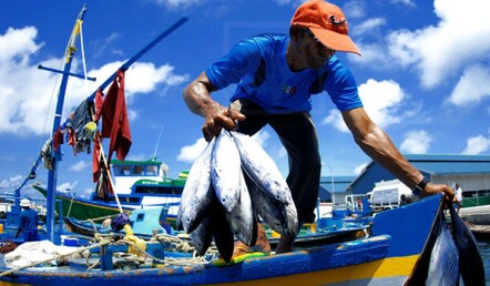 Fresh catch