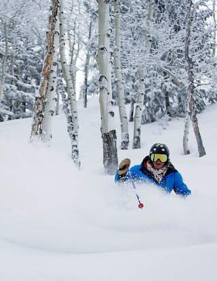 Skiing through trees