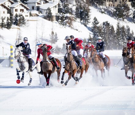 Annual Polo on ice
