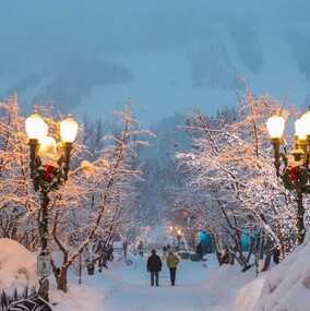 A winter wonderland
