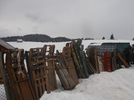 Sledging is way more popular than skiing