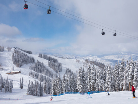 Winter Wonderland