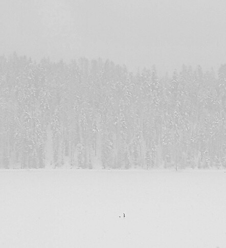 Heavy snowfalling on the frozen lake
