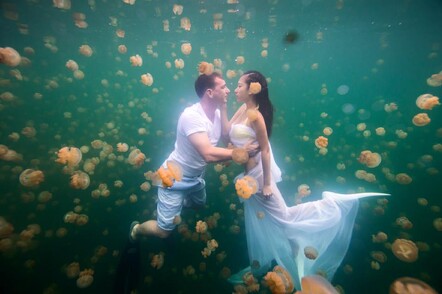 Richard and Siqi wedding photo