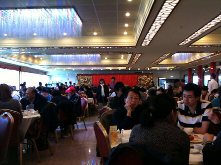 Dim Sim for lunch