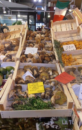 Porcini heaven