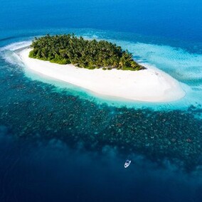 Amazing dive spot