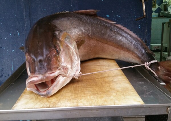 Please dont cook me in a Wok, I am a proud Italian fish