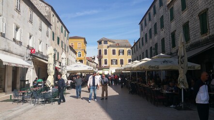 Sinj