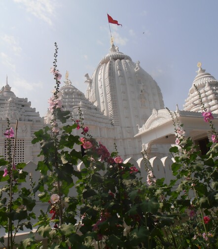 Hindu Temple I walked past every day