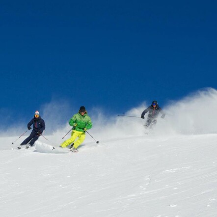 My co-workers were all expert skiers
