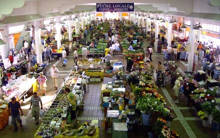 Flowers and plants part of the Cannes market