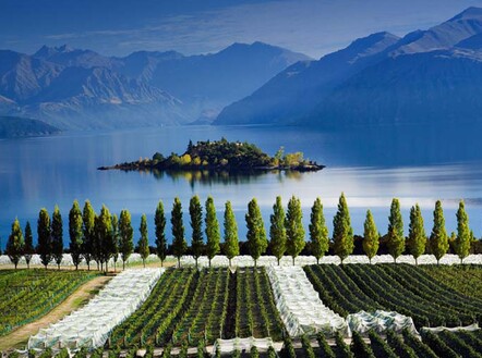 Rippon Vineyard Lake Wanaka