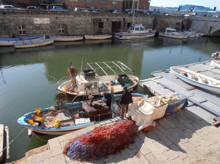 Local fishermen in Livorno