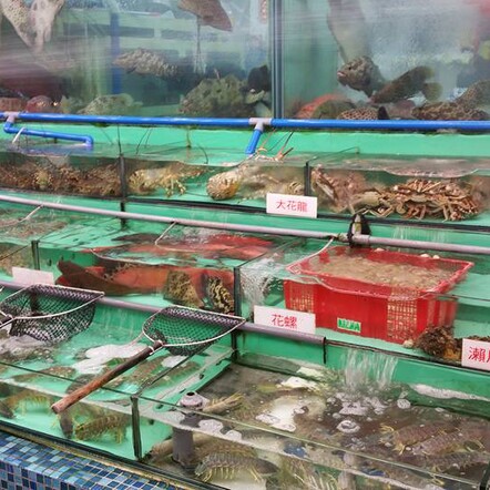 Live seafood market