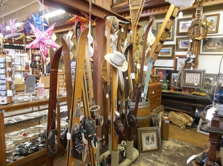 Do you have any slightly newer skis please?