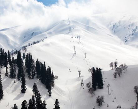 Fresh snow overnight