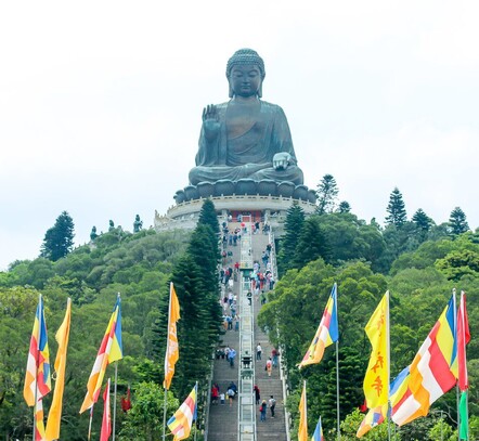 The Buddist Temple