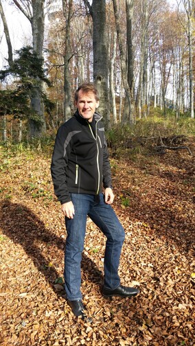 A walk in the woods