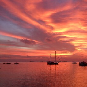 Magical sunsets