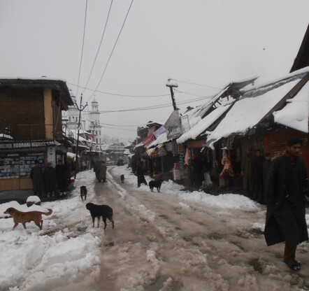 Local Kashmir village
