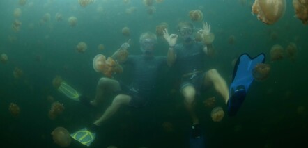 Cam and Jason in Jellyfish Lake