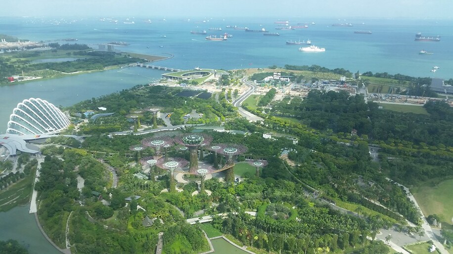 Garden's view