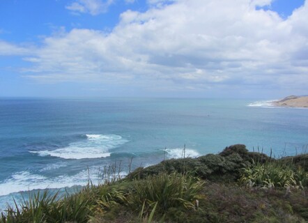 Hokianga Mouth