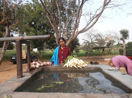 The IICA farm is 100% self sufficient