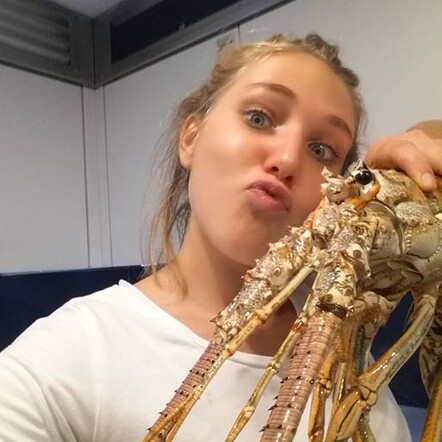 Lovely lobster