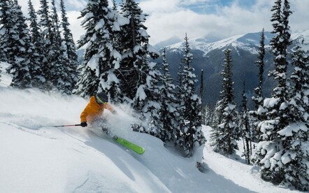 The tree skiing in Aspen is outstanding