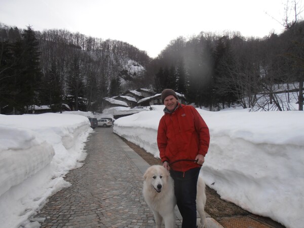Limone