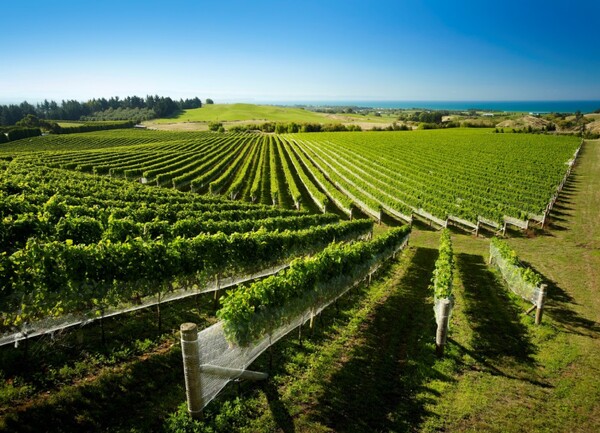 Hawkes Bay Wine Country