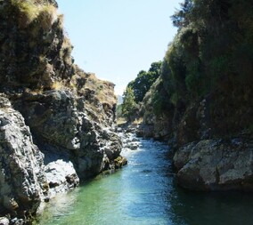 Shotover River