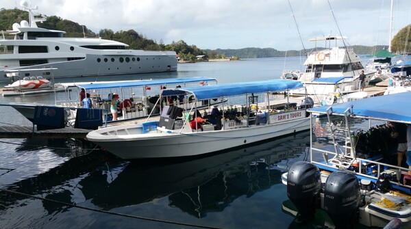 Off for a dive
