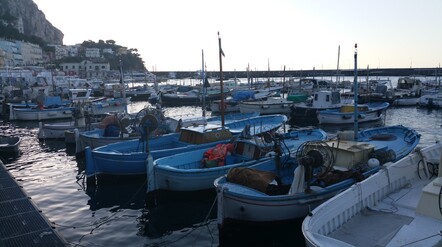 Capri