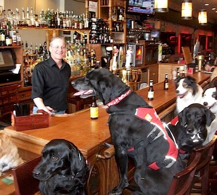 Aspen patrol dogs enjoying a good night out